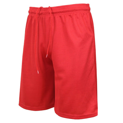 Men's Lightweight Moisture-Wicking Mesh Shorts, 5-Pack