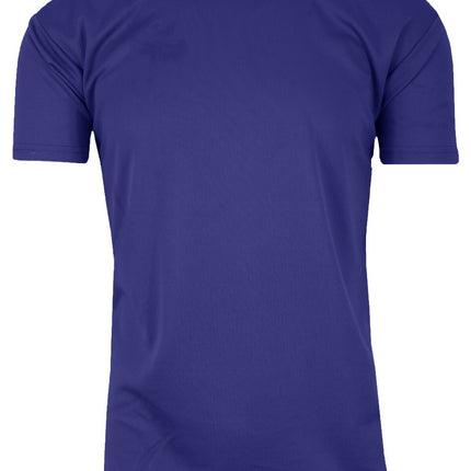 Men's Short Sleeve Moisture Wicking Active Muscle Tees Gym Breathable S-2XL