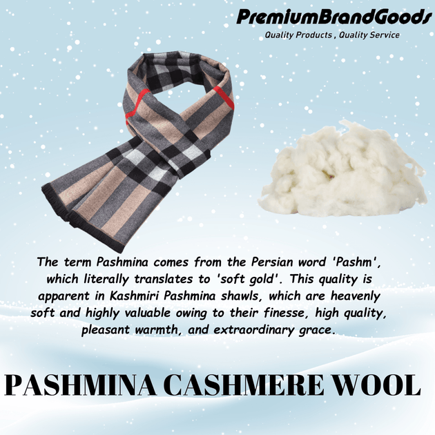 Plaid Soft Long Winter Scarfs Cozy 100% Cashmere Pashmina Wool - PremiumBrandGoods