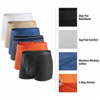 Boxer Stack + Feature Callouts