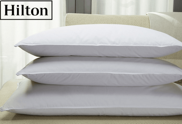 Hilton Hotels & Resorts Collection Down-Quilt Polyester Pillow 2 Pack (King) - PremiumBrandGoods