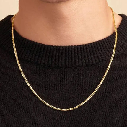 Stainless Steel Flat Snake Bone Chain Necklace (2 Colors , 2 Sizes) - PremiumBrandGoods