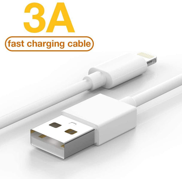 XL 10FT Long Lightning Charger - PremiumBrandGoods